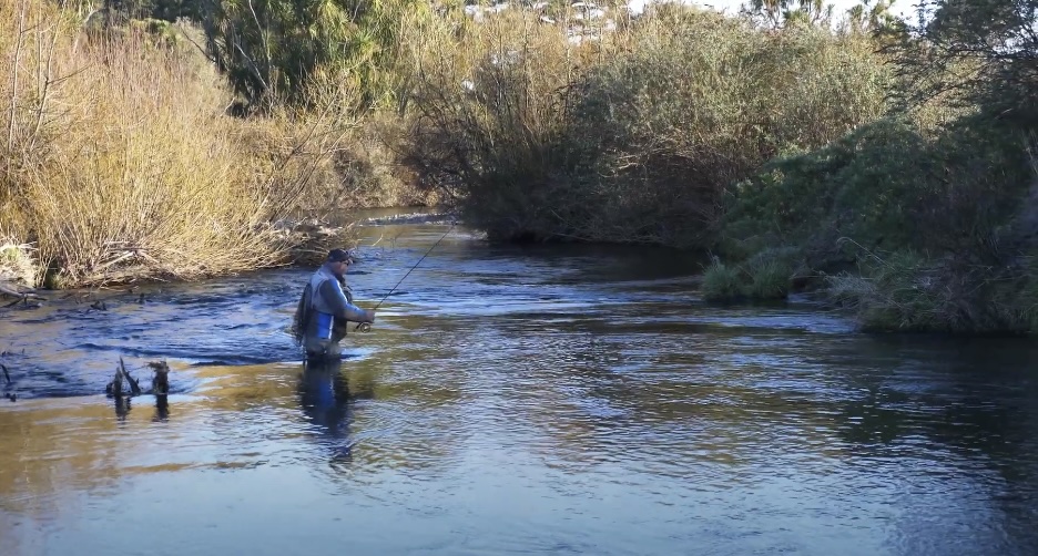 Your Ultimate Guide to the Tauranga Taupo River Level and Fishing Opportunities