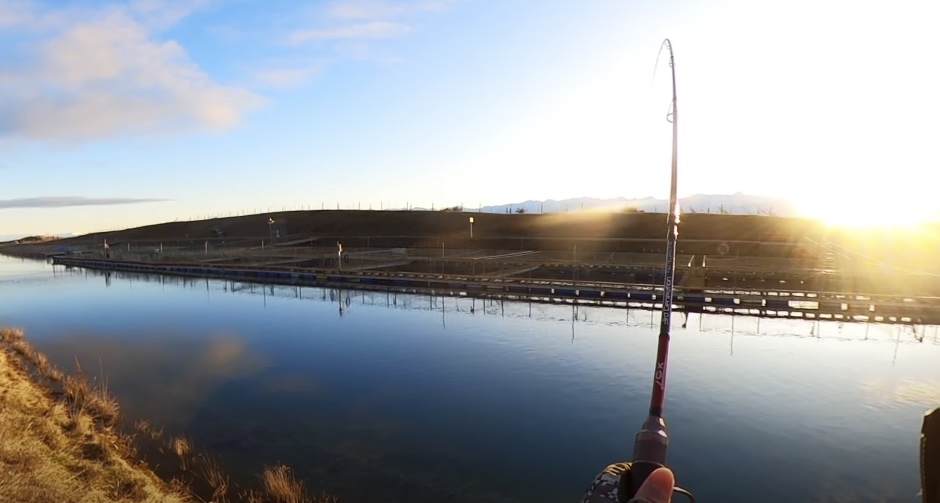 Twizel Canal Fishing