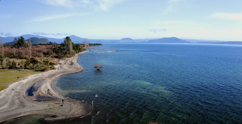 Discover the Fish of Lake Taupo: A Fishing Haven in Taupo-Turangi