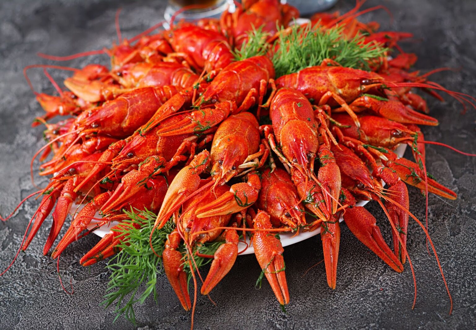 Crayfish Recipes NZ: Delicious Ideas for Your Kitchen