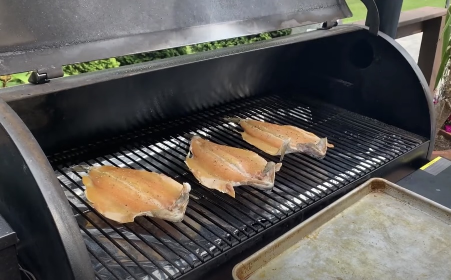 Smoked Trout Delights: Mastering the Art of Smoking Trout in NZ